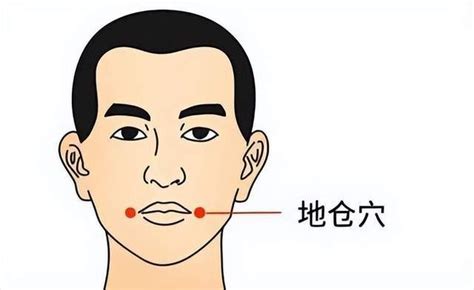 地倉穴位置|人體穴位大全——地倉穴：口眼歪斜、面神經麻痹、三。